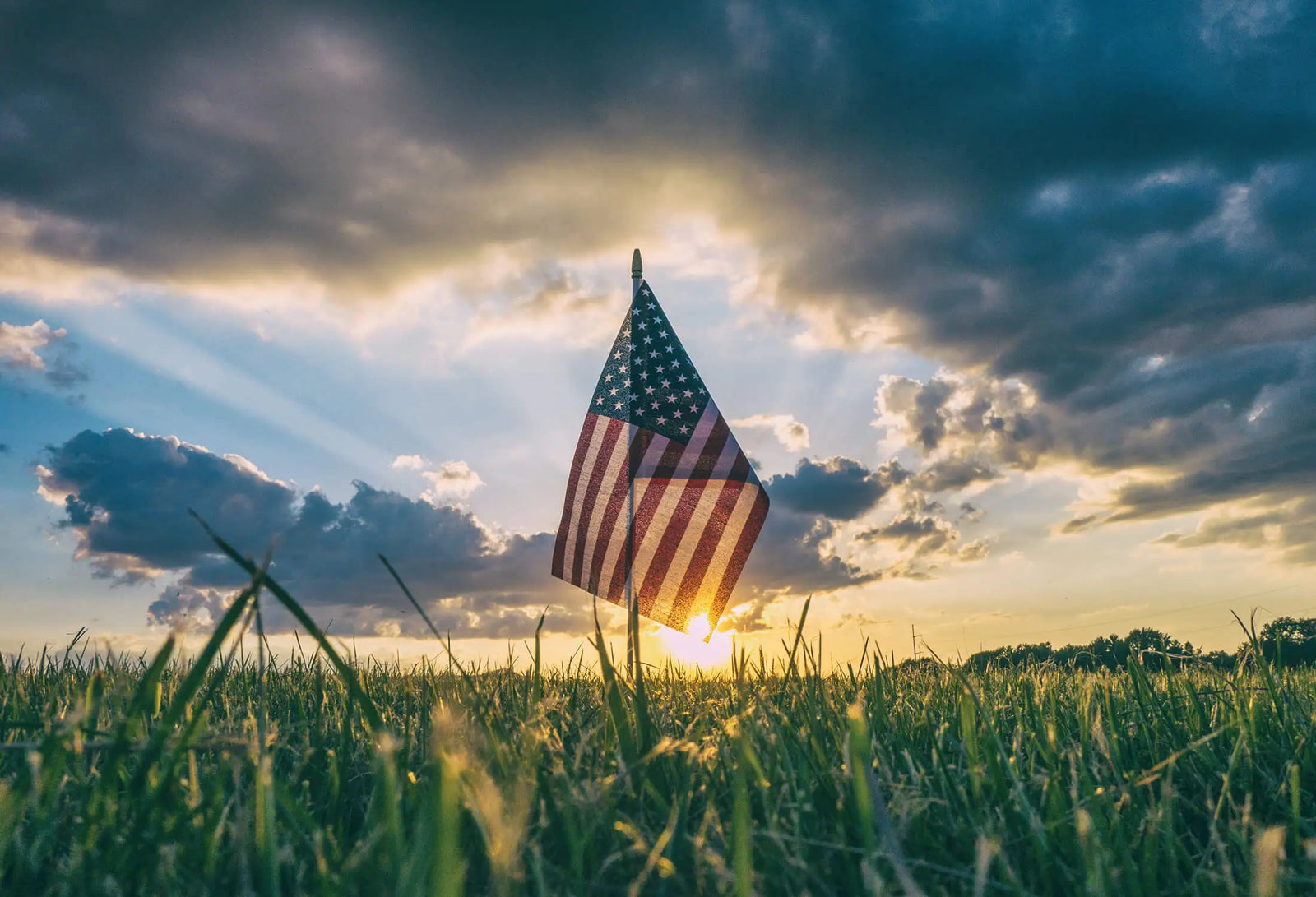 A Fourth of July Thank You